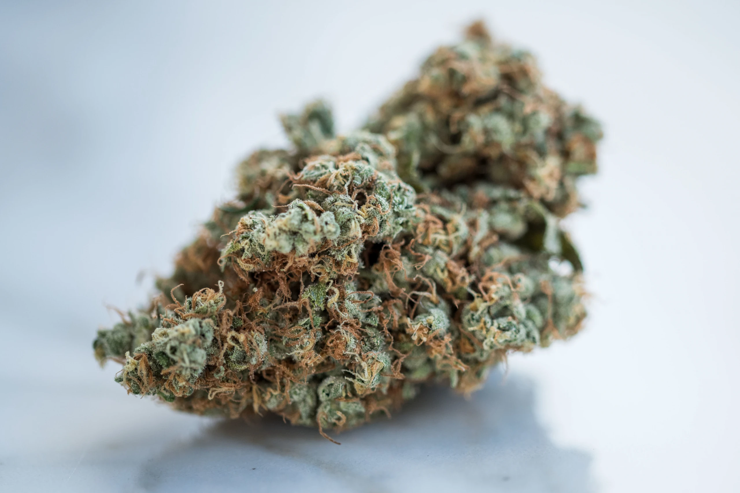 kamagra és kannabisz