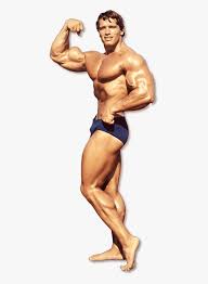 Kamagra e bodybuilding